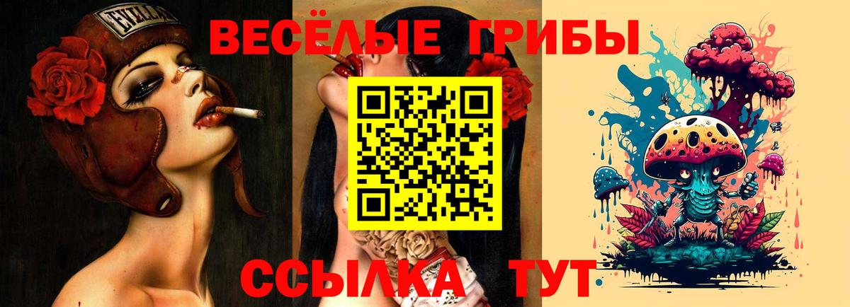 Псилоцибиновые грибы ЛСД Великий Новгород
