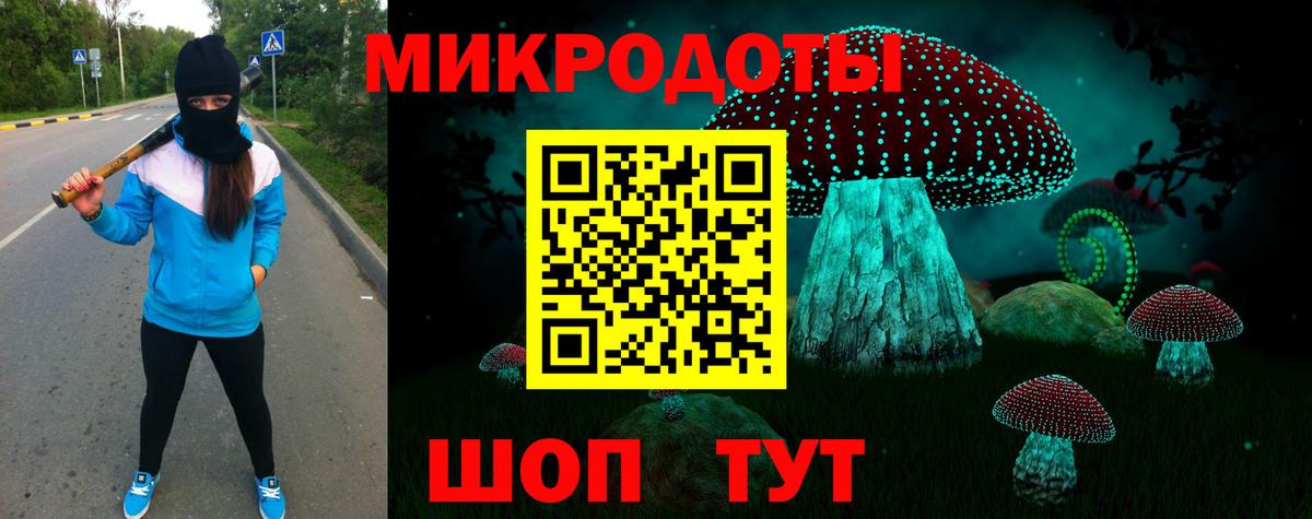 Галлюциногенные грибы Psilocybine cubensis  Галлюциногенные грибы мицелий  Великий Новгород  Вход с VPN 